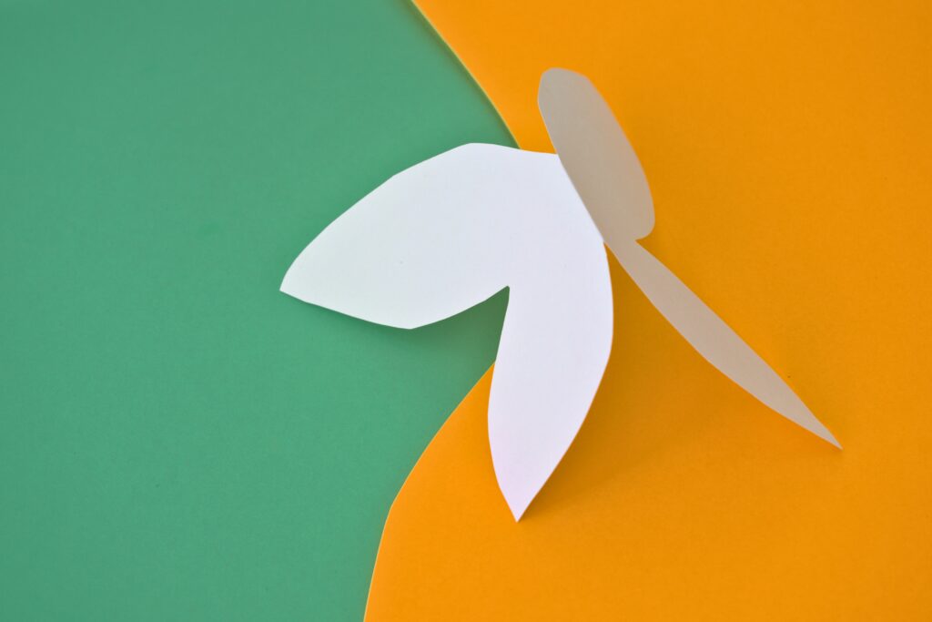 Contemporary Still Life Photography for Sale