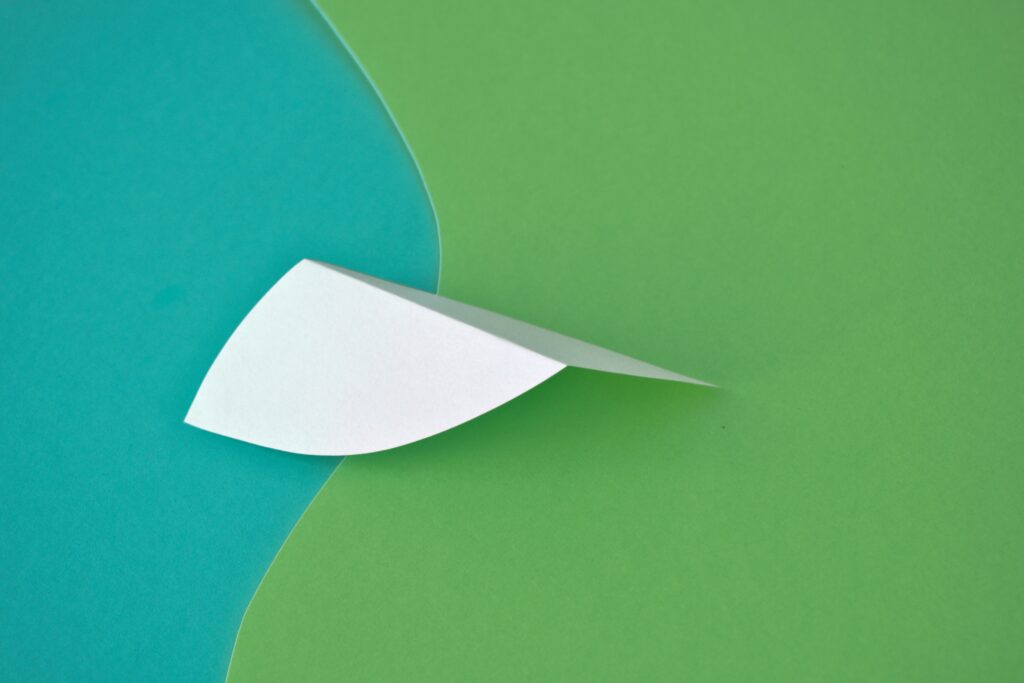 Teal Green Vibrance - Contemporary Still Life Photography