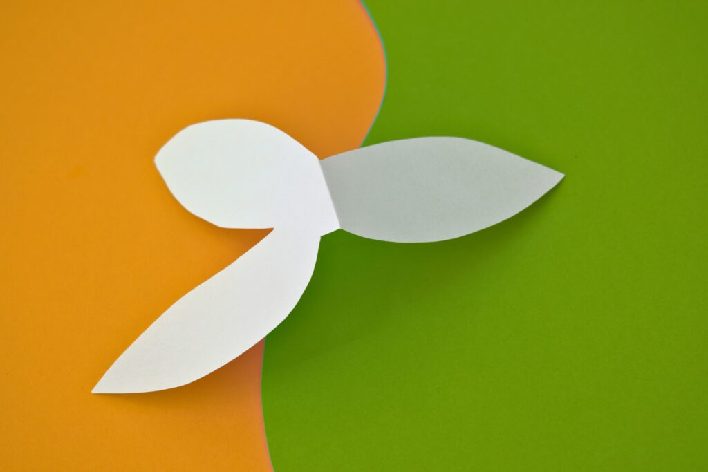 Orange Green Delight Experience the Joy of Art That Feels Natural and True