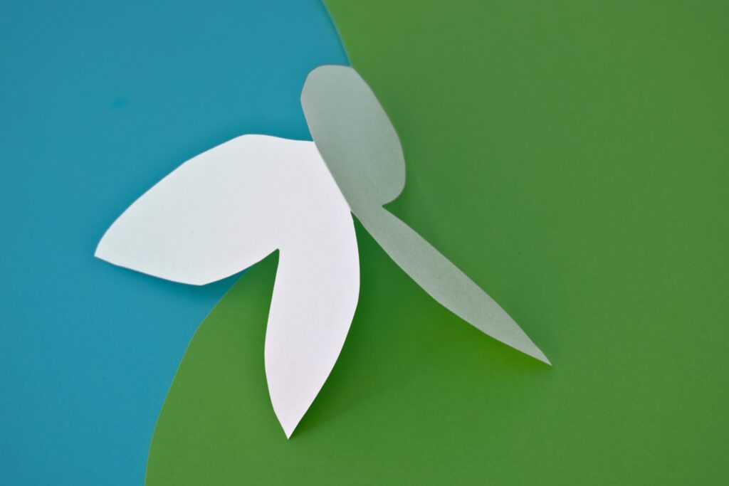 Blue Green Expression - Buy Contemporary Still Life Photography Prints Online