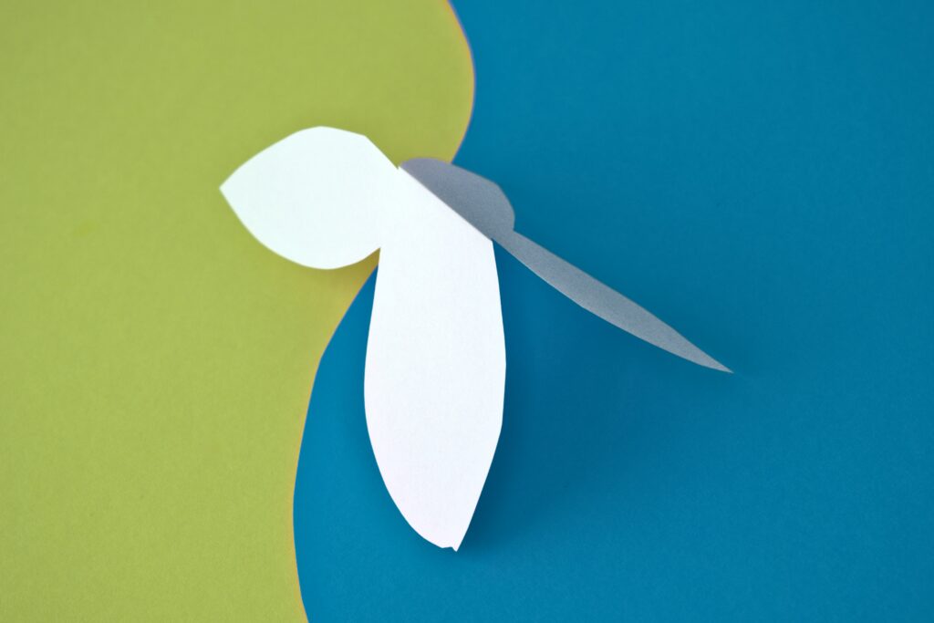 Green Blue Dream - Buy Contemporary Still Life Photography Prints Online