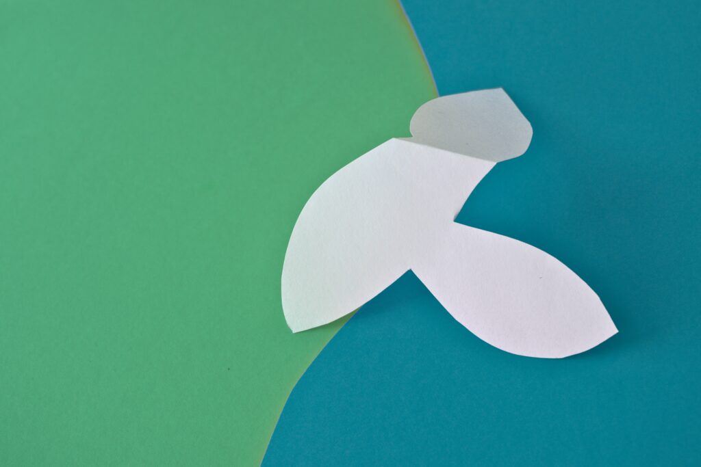 Green Blue Moment - Buy Contemporary Still Life Photography Prints Online